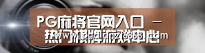 公司动态