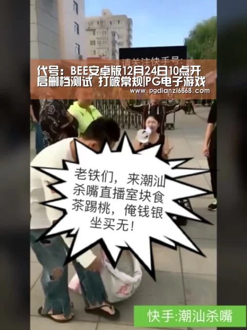 代号:BEE安卓版12月24日10点开启删档测试 打破常规|PG电子游戏(图1) PG电子APP下载