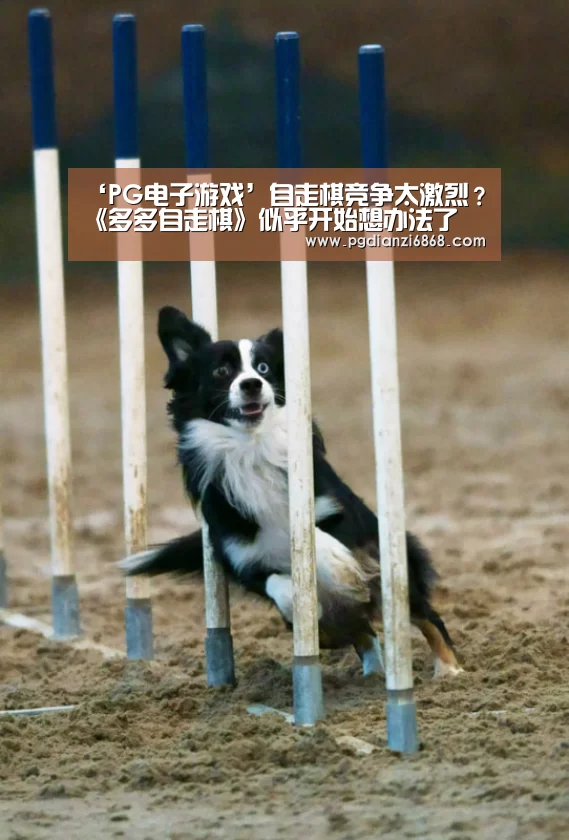 ‘PG电子游戏’自走棋竞争太激烈?《多多自走棋》似乎开始想办法了(图2) PG电子游戏