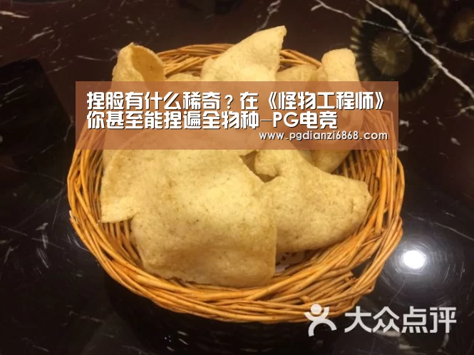 PG麻将官网入口