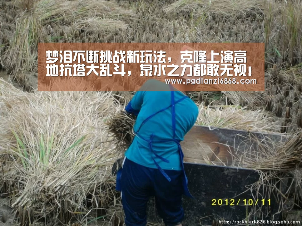 PG麻将官网入口