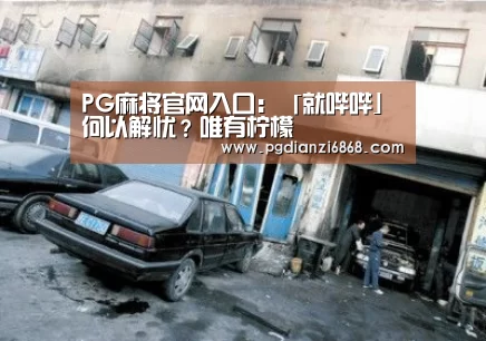 PG麻将官网入口:「就哔哔」何以解忧?唯有柠檬(图4) PG电子APP下载